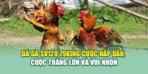 Đá Gà Sv128 79KING Cược Hấp Dẫn, Cược Thắng Lớn Và Vui Nhộn