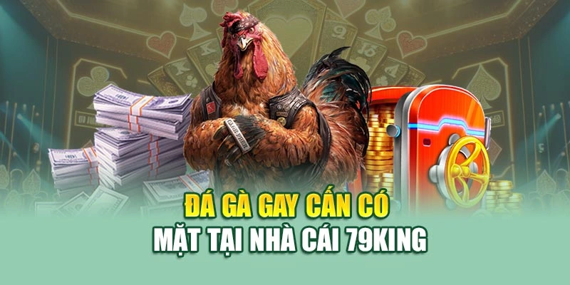 Đá gà gay cấn có mặt tại nhà cái 79KING