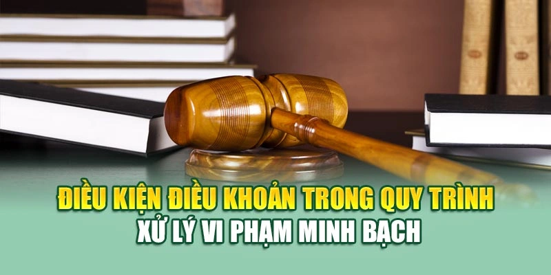 Điều kiện điều khoản trong quy trình xử lý vi phạm minh bạch