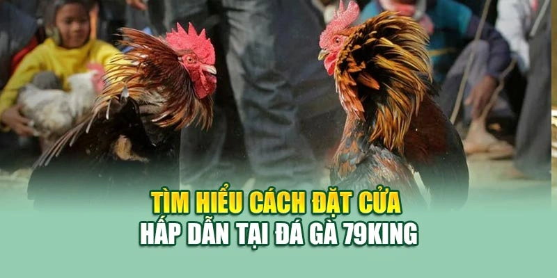 Tìm hiểu cách đặt cửa hấp dẫn tại đá gà 79KING